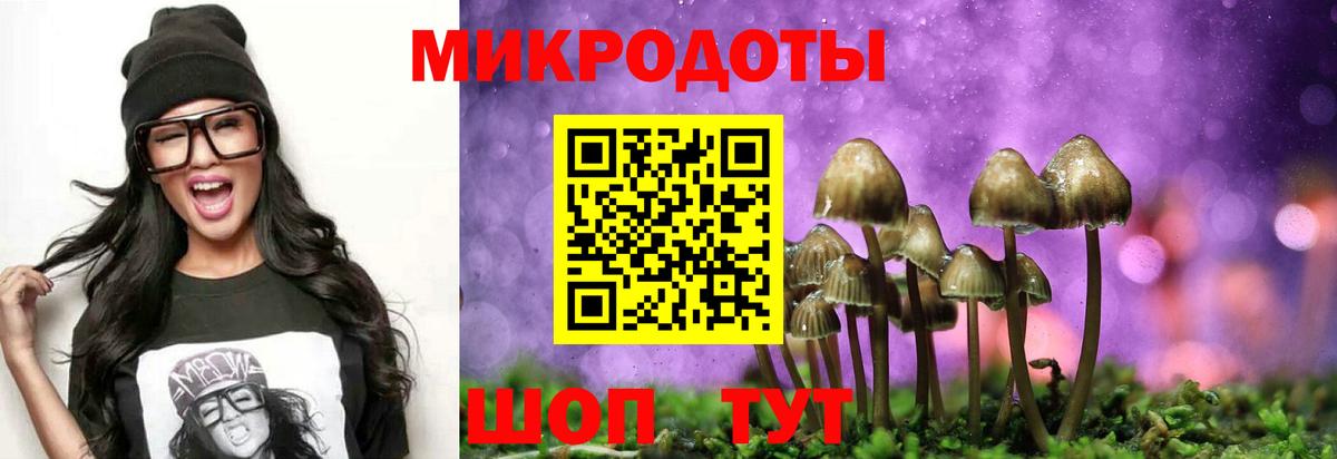 Галлюциногенные грибы Cubensis  Псилоцибиновые грибы Psilocybine cubensis  Вход с VPN  Таганрог 